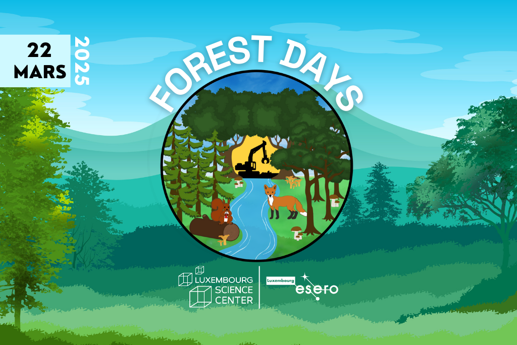 Banner Forest Days 2025 V2