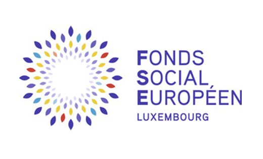 FSE Logo