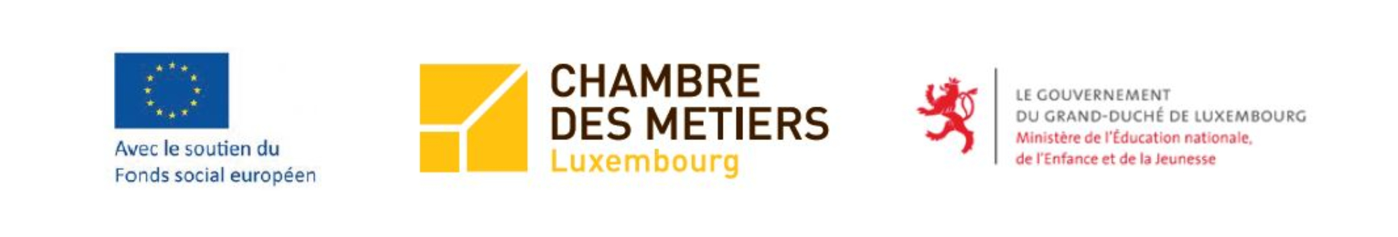 FSE Logos