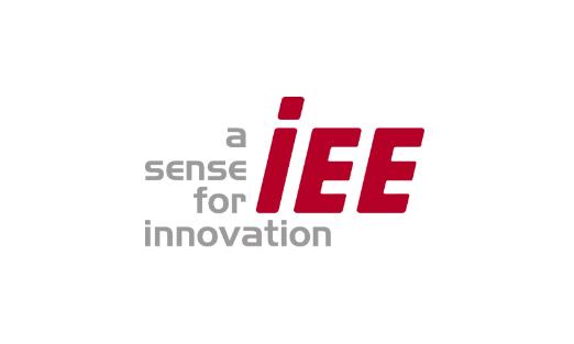 Logo IEE a sense for innovation