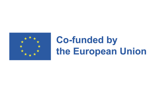 EU Logo